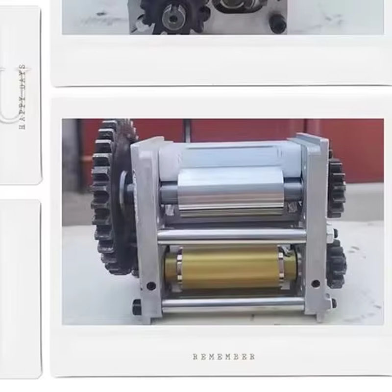 Dumpling Wrapper Forming Machi - Spring Roll Wrapper ulasan dan harga